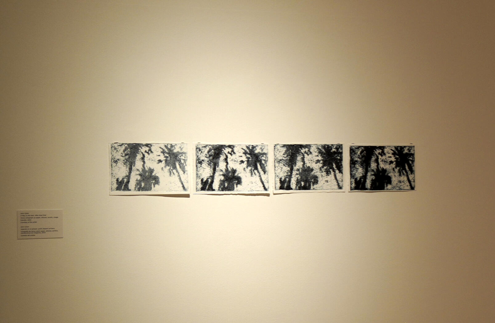 'A Play in the Park: Who Fired First' (Close up) 2023, Xerox collagraph on paper, silicone, Acrylic, image transfer, Dimensions Variable